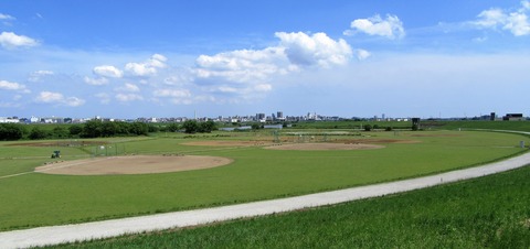 IMG_0964