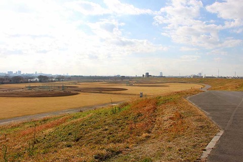 IMG_0590