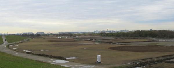 IMG_5438 (2)