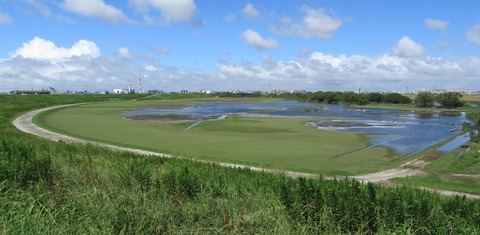 IMG_1335 1