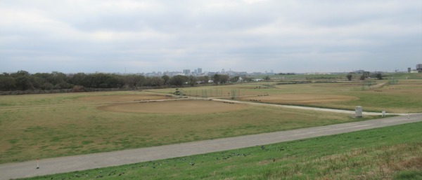 IMG_9426 (2)