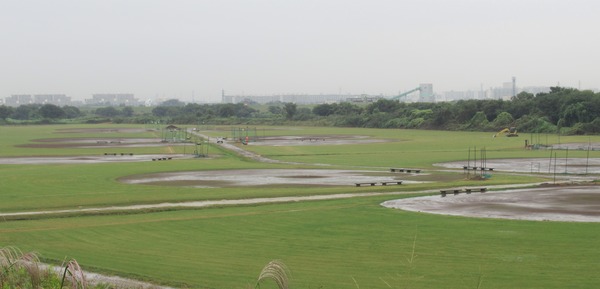 IMG_8948 (2)