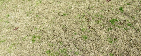 IMG_3189 (2)