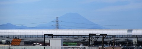 IMG_3789 (2)