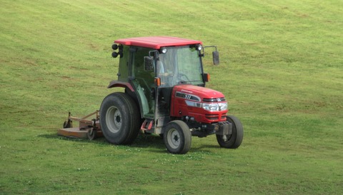 IMG_5961 (3)
