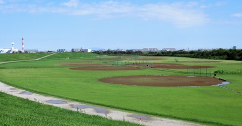 IMG_7991 (2)