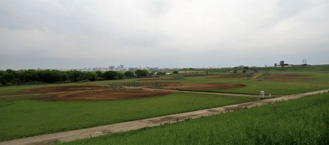 IMG_4962 (3)