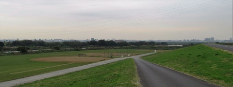 IMG_4574 (2)