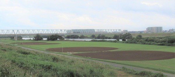 IMG_8785 (3)