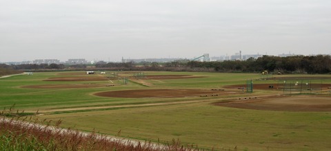 IMG_8874 (2)