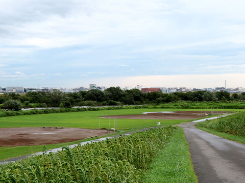 20番