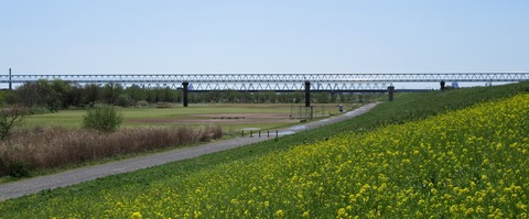 IMG_7329 (2)