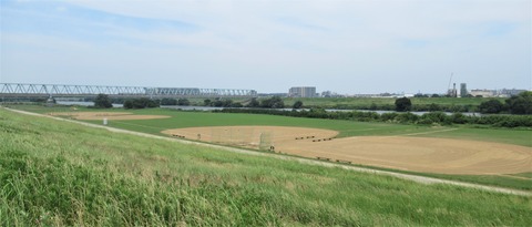 IMG_6959 (2)