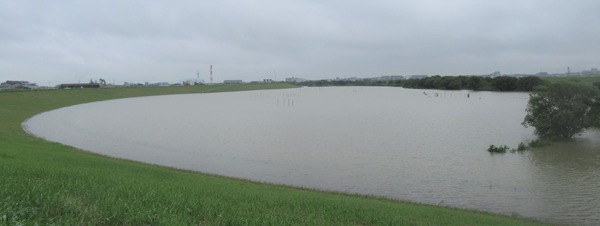 IMG_1687 (2)