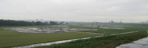 IMG_4102 (2)