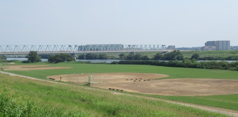 IMG_7377 (2)