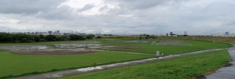 IMG_2488 (2)