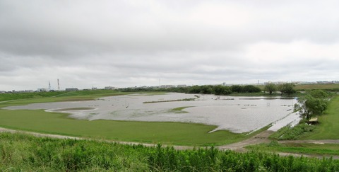 IMG_1253 (2)