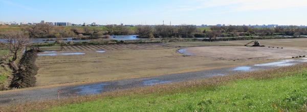 IMG_5731 (2)