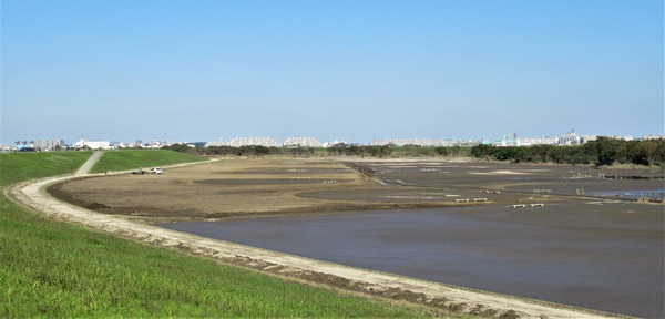 IMG_4788 (2)