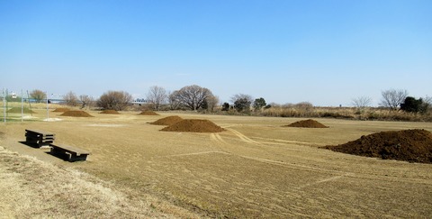 IMG_3321 (2)