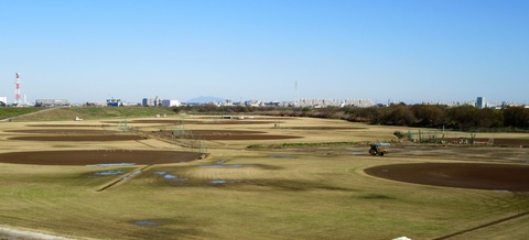 IMG_5443 (2)