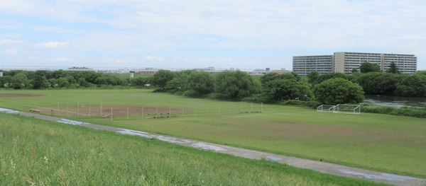 IMG_3439 (2)