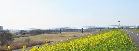 IMG_6597 (2)