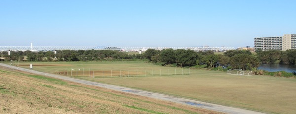 IMG_9155 (2)