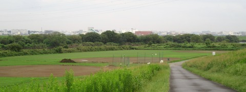 IMG_2811 (2)