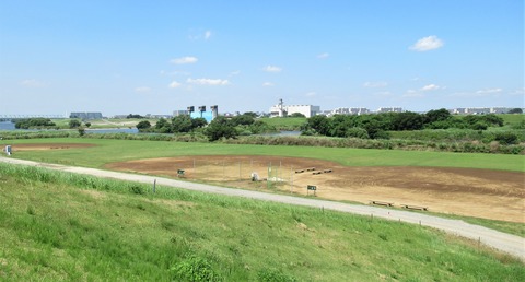 IMG_1683 (2)