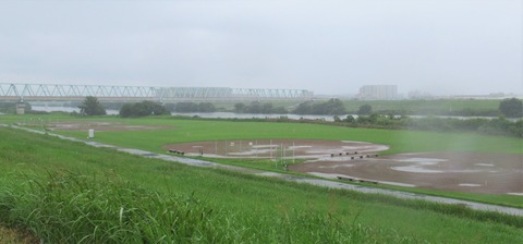 IMG_2274 (2)