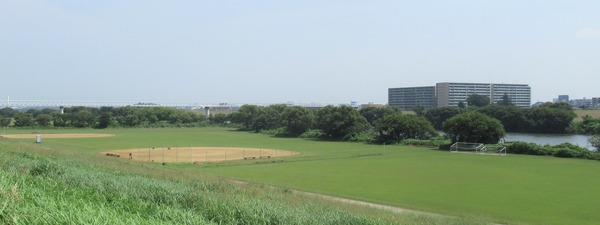 IMG_8204 (3)