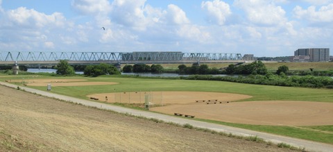 IMG_1271 (2)