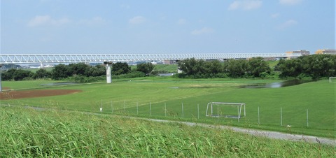 IMG_2602 (2)