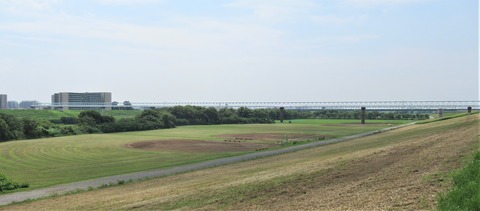 IMG_7481 (2)