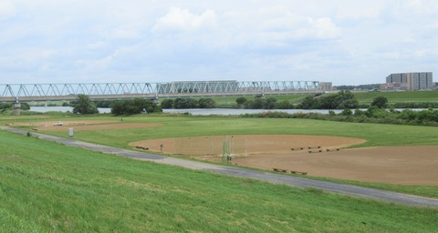 IMG_1536 (2)