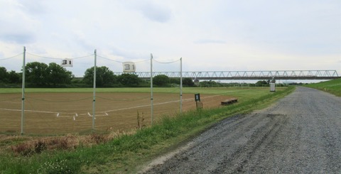 IMG_1550 (2)