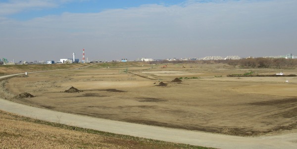 IMG_6136 (2)