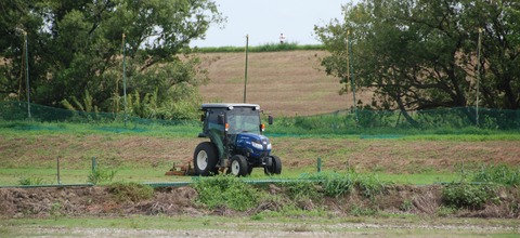 DSC_0668 (2)