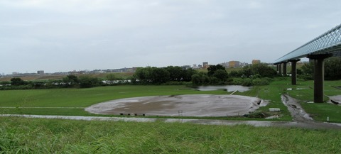 IMG_1435 (2)
