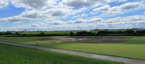 IMG_0999 (2)