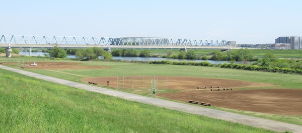 IMG_0463 (2)