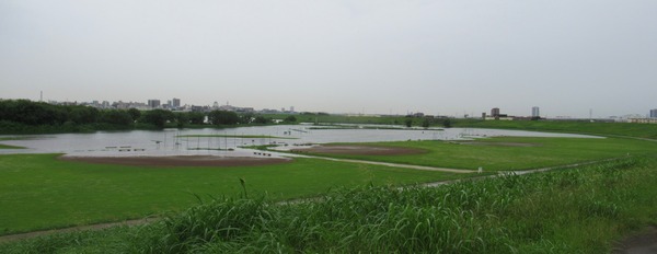 IMG_7830 (2)