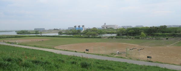 IMG_7113 (2)