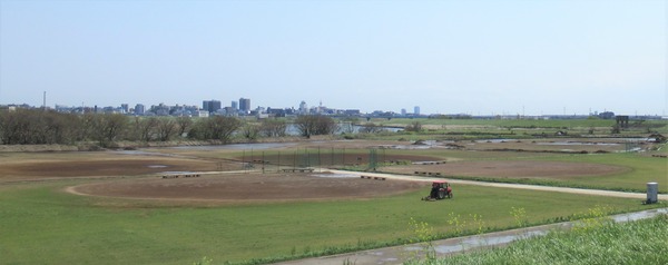 IMG_6761 (2)