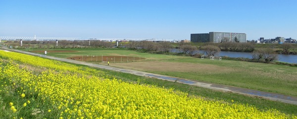 IMG_6410 (2)