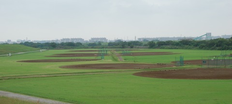 DSC_0964 (2)