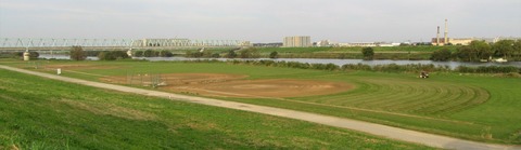 IMG_4399 (2)