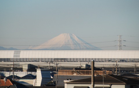 DSC_0028 (2)